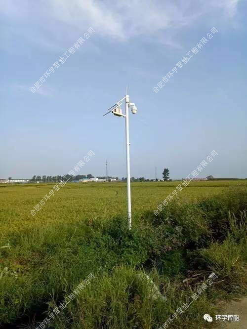 1733278448481956.png 圖片 4.png