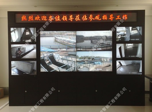 1733370648562167.jpg 2.jpg