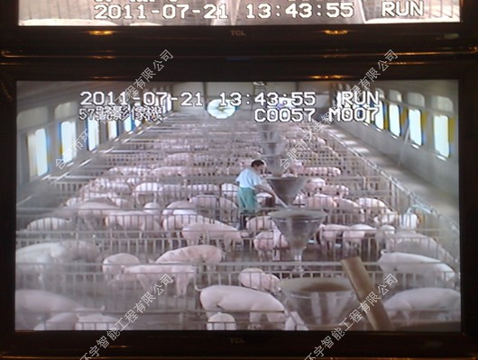 1733376332133054.jpg 2.jpg